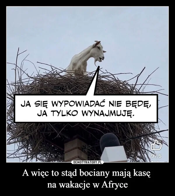 
    A więc to stąd bociany mają kasę na wakacje w Afryce