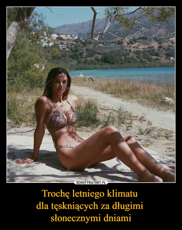 
    Trochę letniego klimatu dla tęskniących za długimi słonecznymi dniami