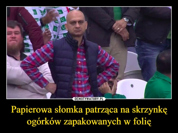 
    Papierowa słomka patrząca na skrzynkę ogórków zapakowanych w folię