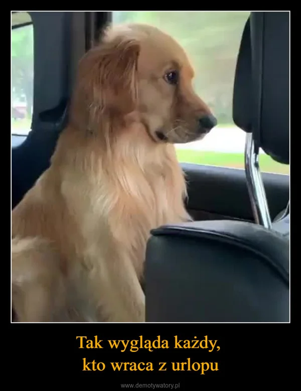 
    Tak wygląda każdy, kto wraca z urlopu