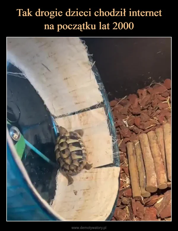 
    Tak drogie dzieci chodził internet na początku lat 2000