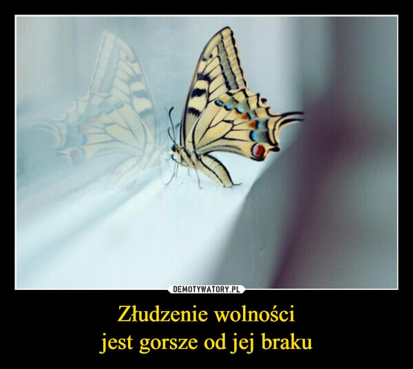 
    Złudzenie wolności
jest gorsze od jej braku