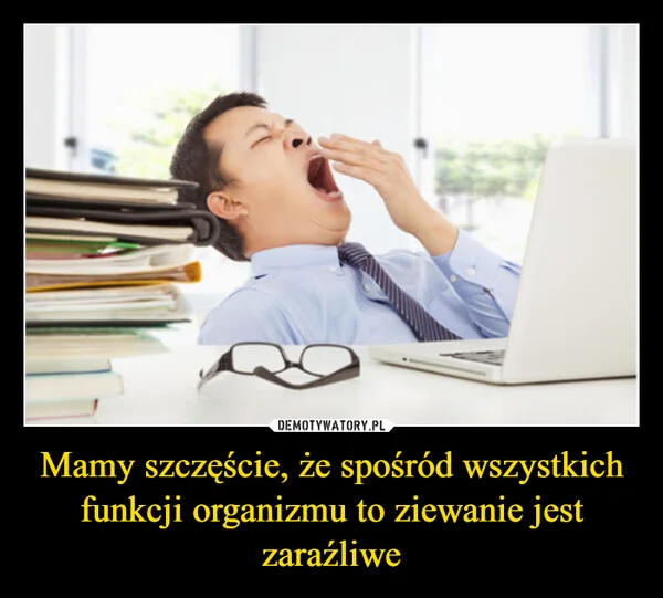 
    Mamy szczęście, że spośród wszystkich funkcji organizmu to ziewanie jest zaraźliwe