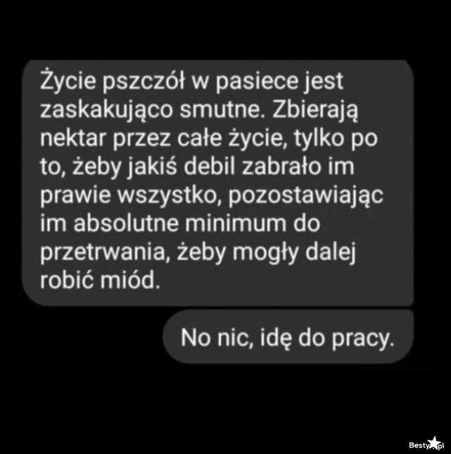 
    Życie pszczół w pasiece 