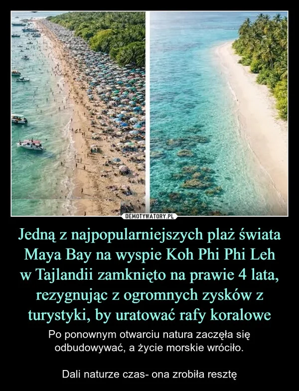 
    Jedną z najpopularniejszych plaż świata Maya Bay na wyspie Koh Phi Phi Leh w Tajlandii zamknięto na prawie 4 lata, rezygnując z ogromnych zysków z turystyki, by uratować rafy koralowe