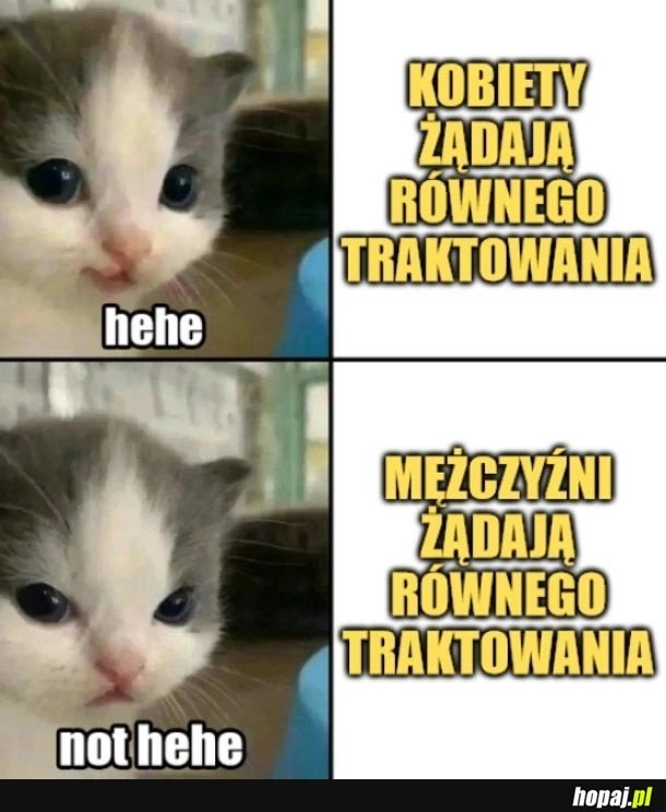 
    Równe prawa.