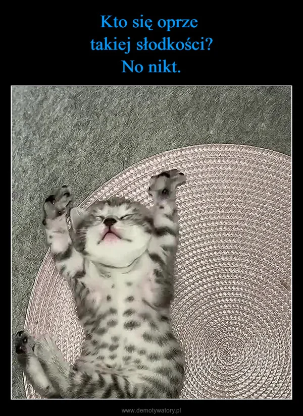 
    Kto się oprze takiej słodkości? No nikt.