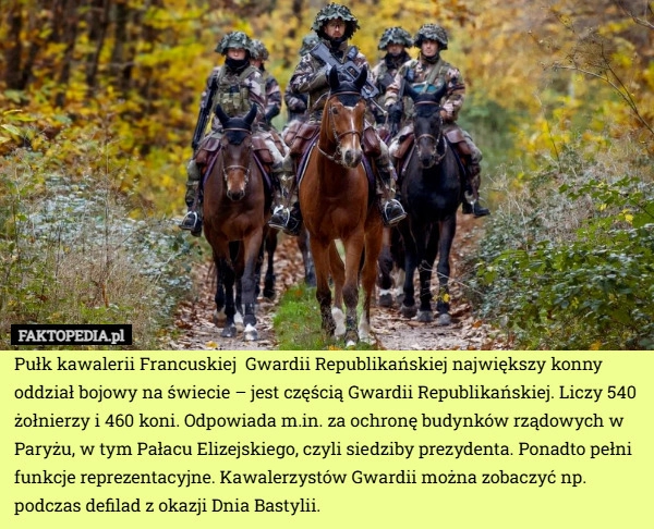 
    Pułk kawalerii Francuskiej  Gwardii Republikańskiej największy konny oddział