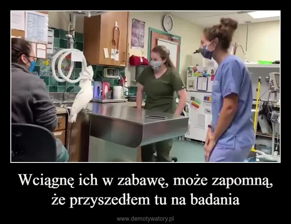 
    Wciągnę ich w zabawę, może zapomną, że przyszedłem tu na badania