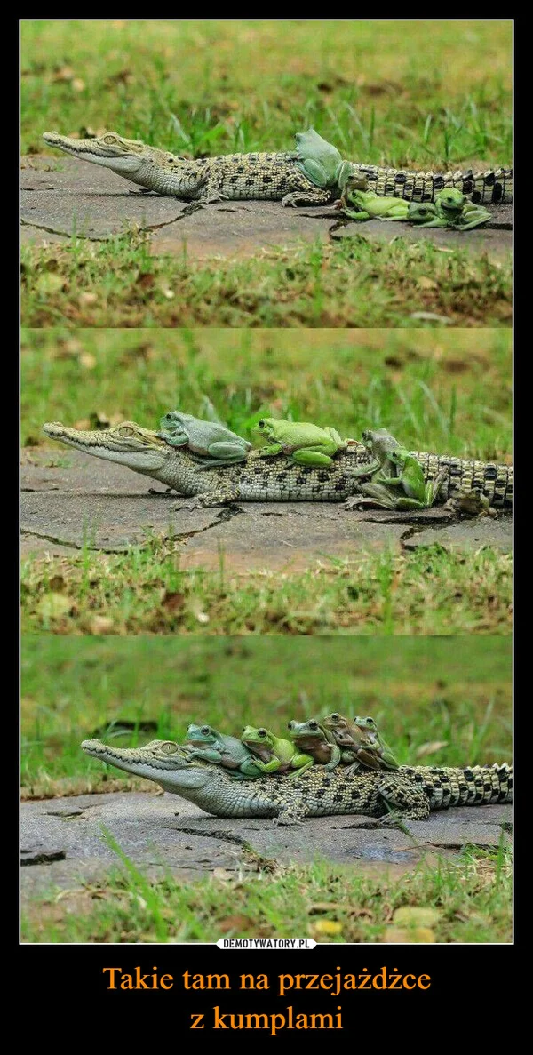 
    Takie tam na przejażdżce z kumplami