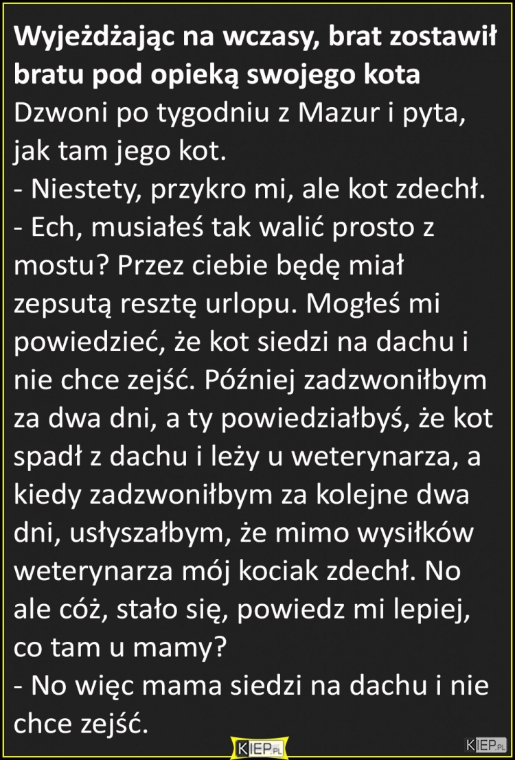 
    Wyjeżdżając na wczasy brat zostawił swojemu bratu kota...