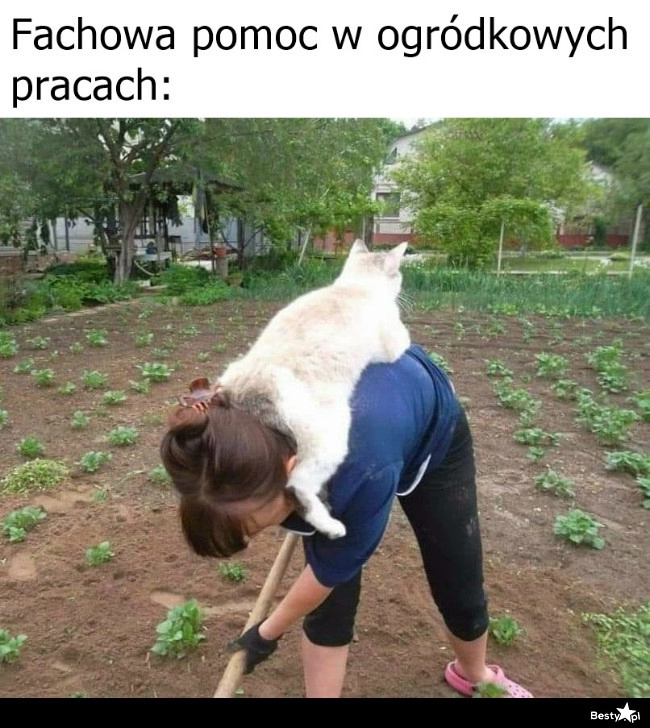 
    Fachowa pomoc 