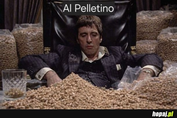 
    Już wiadomo kto trzyma łapy na pellecie