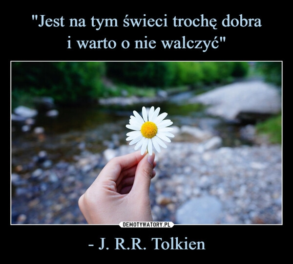 
    "Jest na tym świeci trochę dobra
i warto o nie walczyć" - J. R.R. Tolkien