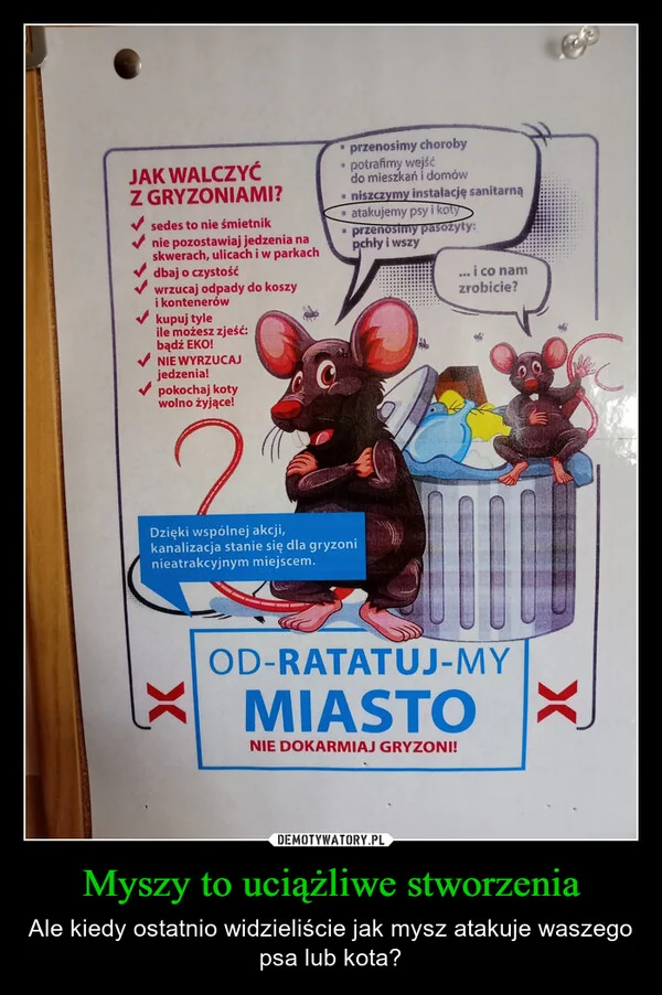 
    Myszy to uciążliwe stworzenia