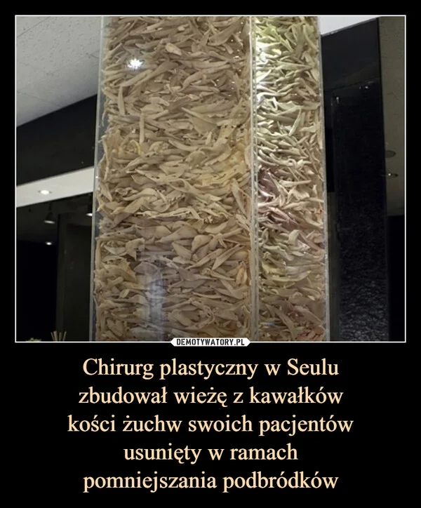 
    Chirurg plastyczny w Seulu zbudował wieżę z kawałków kości żuchw swoich pacjentów usunięty w ramach pomniejszania podbródków