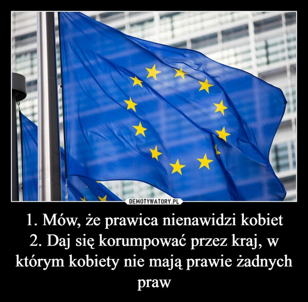 
    1. Mów, że prawica nienawidzi kobiet
2. Daj się korumpować przez kraj, w którym kobiety nie mają prawie żadnych praw 