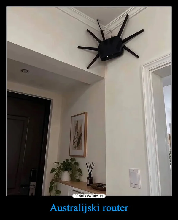 Australijski router