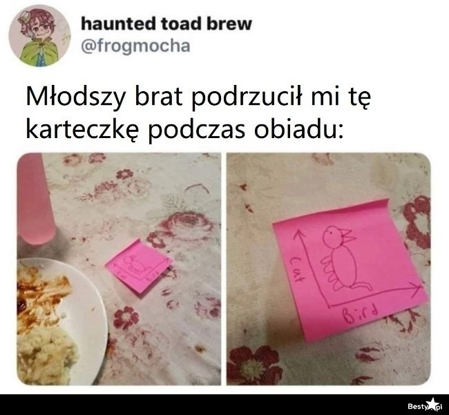 
    Kreatywny dzieciak 