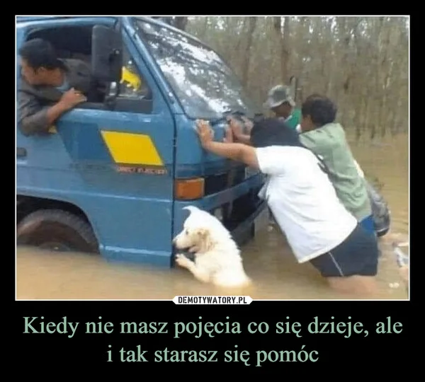 
    Kiedy nie masz pojęcia co się dzieje, ale i tak starasz się pomóc