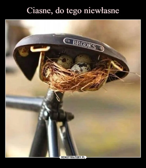 
    Ciasne, do tego niewłasne