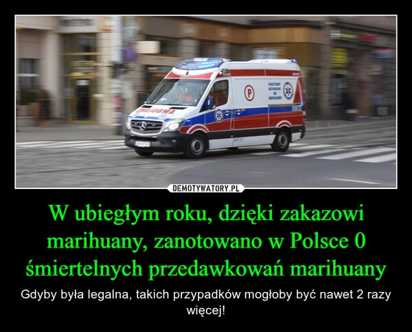 
    W ubiegłym roku, dzięki zakazowi marihuany, zanotowano w Polsce 0 śmiertelnych przedawkowań marihuany