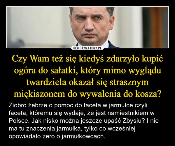 
    Czy Wam też się kiedyś zdarzyło kupić ogóra do sałatki, który mimo wyglądu twardziela okazał się strasznym miękiszonem do wywalenia do kosza?