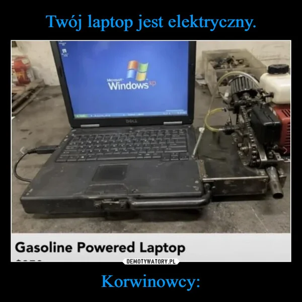 
    Twój laptop jest elektryczny. Korwinowcy: