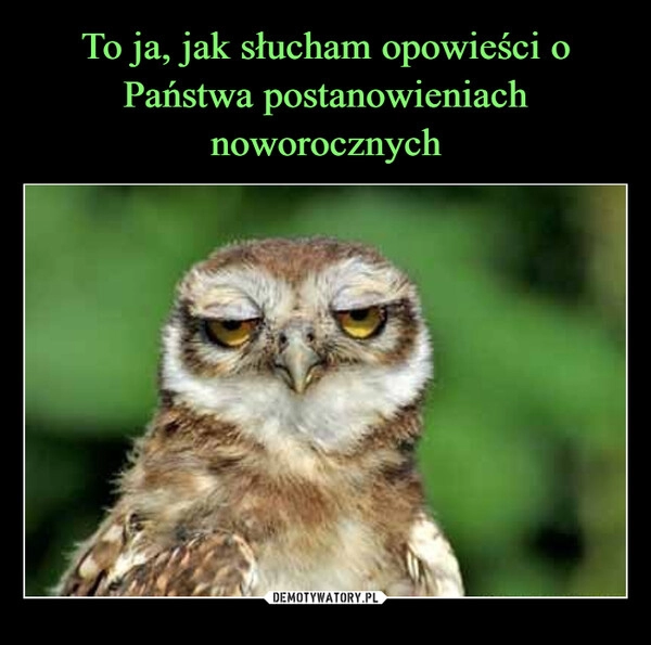 
    To ja, jak słucham opowieści o Państwa postanowieniach noworocznych