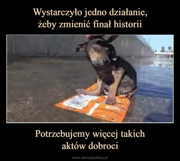 
    Wystarczyło jedno działanie, żeby zmienić finał historii Potrzebujemy więcej takich aktów dobroci