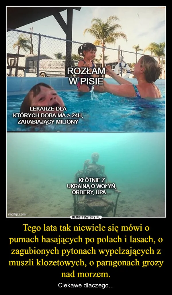 Tego lata tak niewiele się mówi o pumach hasających po polach i lasach, o zagubionych pytonach wypełzających z muszli klozetowych, o paragonach grozy nad morzem.