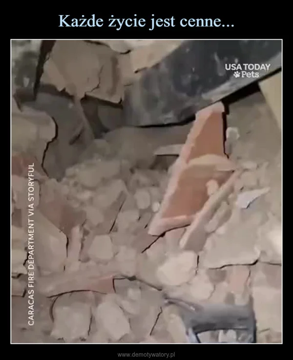 
    Każde życie jest cenne...