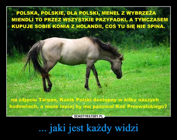 ... jaki jest każdy widzi