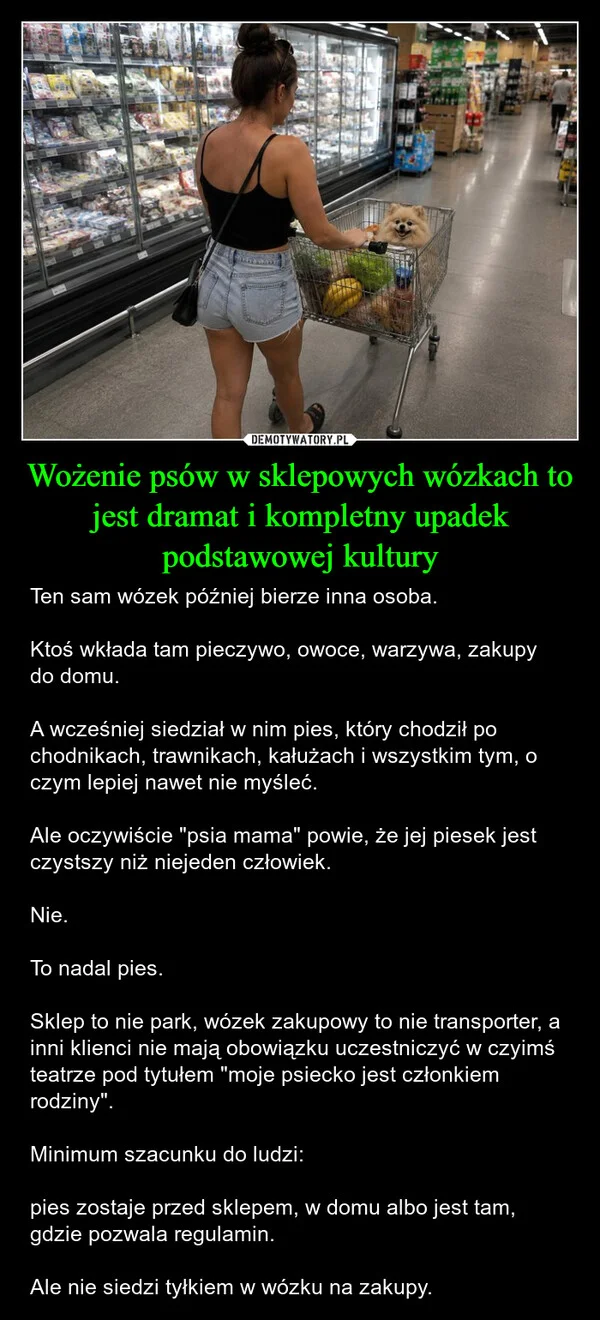 
    Wożenie psów w sklepowych wózkach to jest dramat i kompletny upadek podstawowej kultury