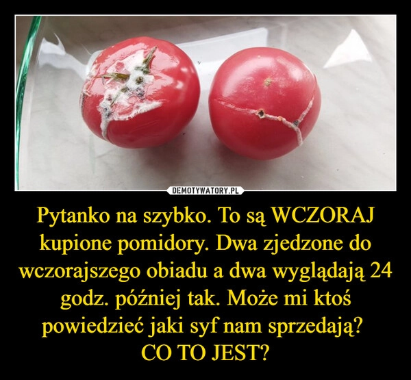 
    Pytanko na szybko. To są WCZORAJ kupione pomidory. Dwa zjedzone do wczorajszego obiadu a dwa wyglądają 24 godz. później tak. Może mi ktoś powiedzieć jaki syf nam sprzedają? 
CO TO JEST?