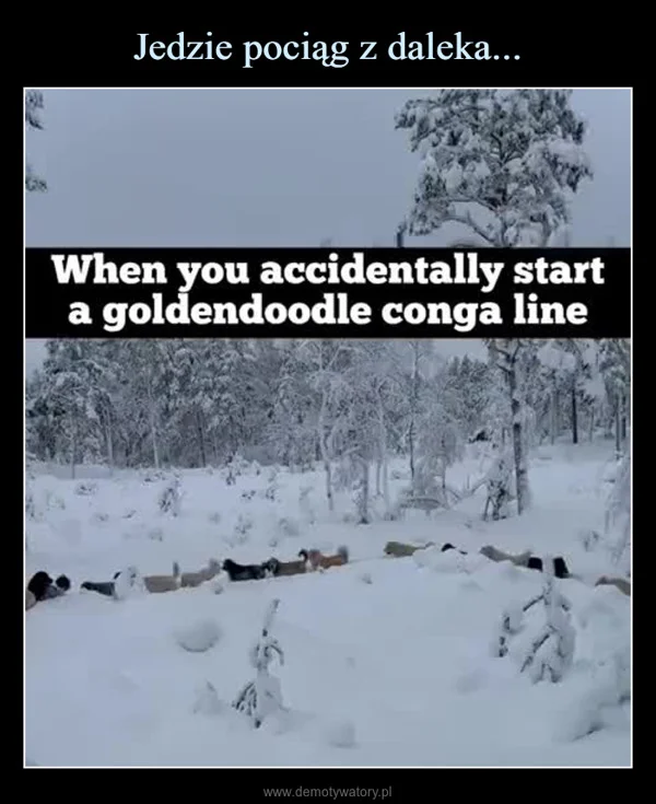 
    Jedzie pociąg z daleka...