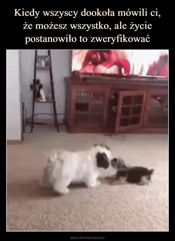 
    Kiedy wszyscy dookoła mówili ci, że możesz wszystko, ale życie postanowiło to zweryfikować