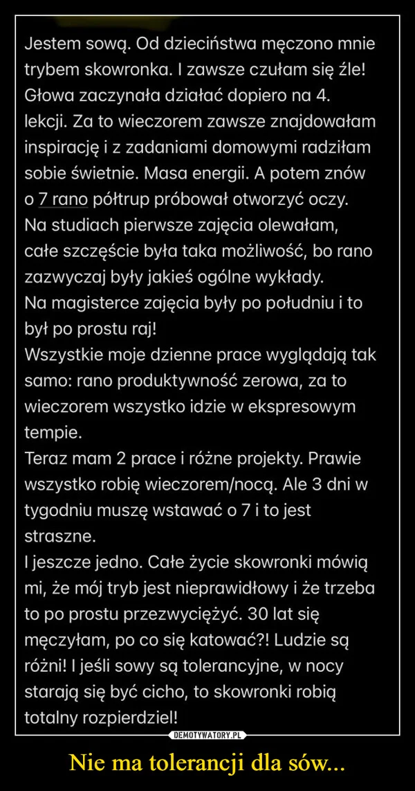 
    Nie ma tolerancji dla sów...