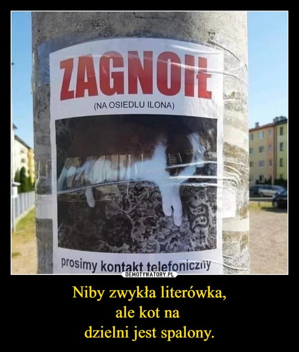 
    Niby zwykła literówka, ale kot na dzielni jest spalony.