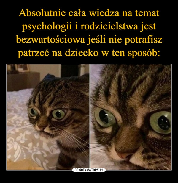 
    Absolutnie cała wiedza na temat psychologii i rodzicielstwa jest bezwartościowa jeśli nie potrafisz patrzeć na dziecko w ten sposób: