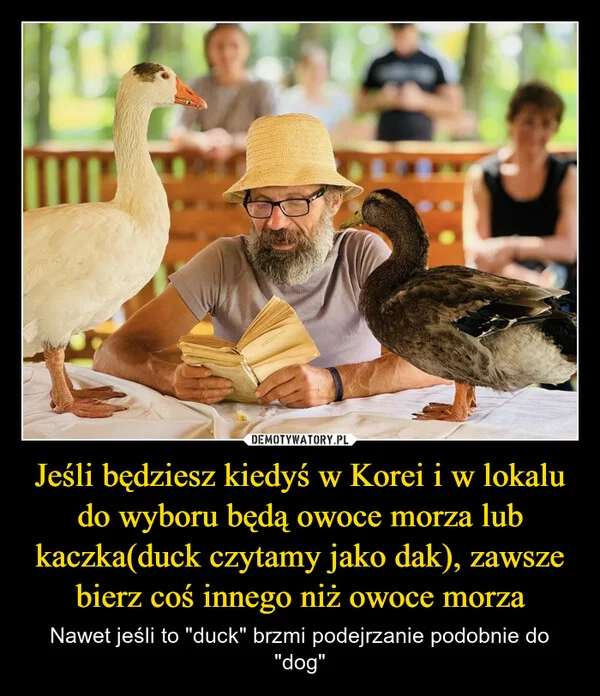 
    Jeśli będziesz kiedyś w Korei i w lokalu do wyboru będą owoce morza lub kaczka(duck czytamy jako dak), zawsze bierz coś innego niż owoce morza