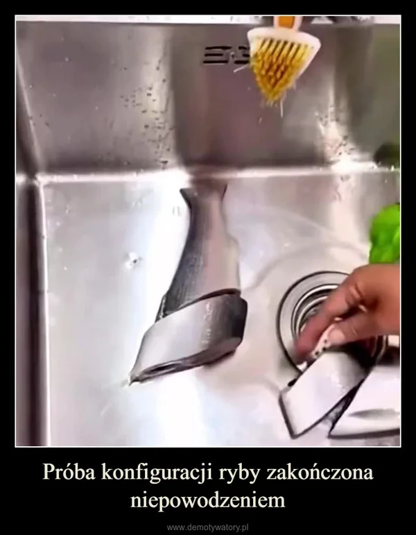 
    Próba konfiguracji ryby zakończona niepowodzeniem