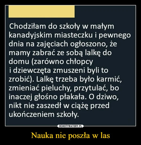 
    Nauka nie poszła w las