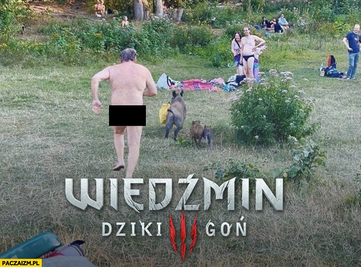 
    Wiedźmin Dziki Gon goły facet goni dzika