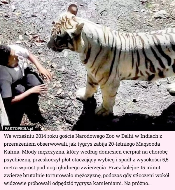 
    We wrześniu 2014 roku goście Narodowego Zoo w Delhi w Indiach z przerażeniem...