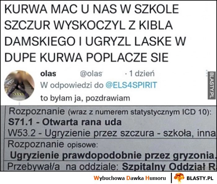 
    U nas w szkole szczur wyskoczył z kibla i ugryzł laskę w dupę, to byłam ja, pozdrawiam