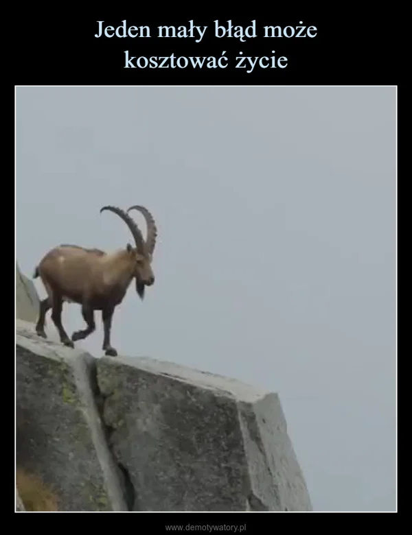 
    Jeden mały błąd może kosztować życie