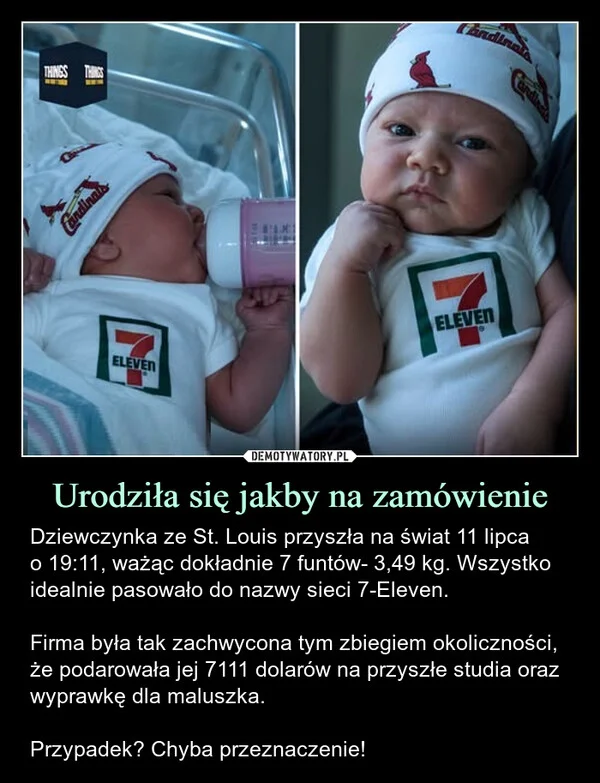 
    Urodziła się jakby na zamówienie