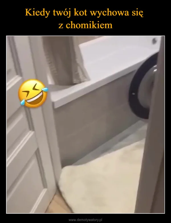 
    Kiedy twój kot wychowa się z chomikiem