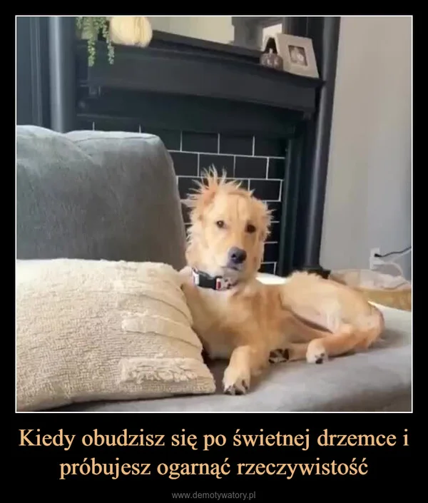 
    Kiedy obudzisz się po świetnej drzemce i próbujesz ogarnąć rzeczywistość